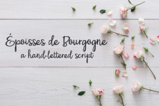 Reviewing PN Époisses De Bourgogne for Branding